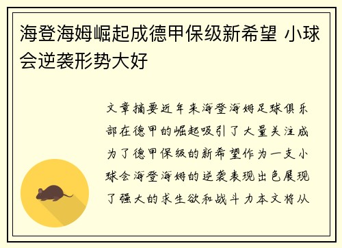 海登海姆崛起成德甲保级新希望 小球会逆袭形势大好